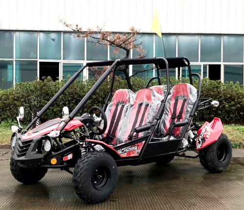 4 person dune buggy