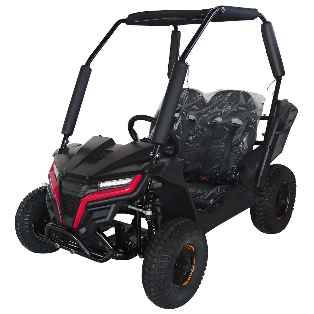 Trailmaster Cheetah 6 Youth Go Kart St Augustine, Orange Park, Jacksonville, Jacksonville Beach, Gai…